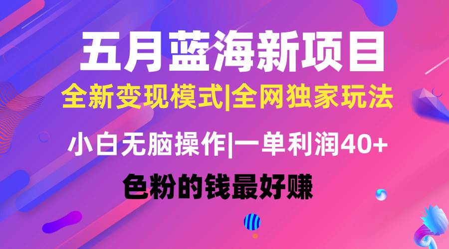 （10477期）五月蓝海项目全新玩法，小白轻松操作，一天几分钟，矩阵操作，月入4万+