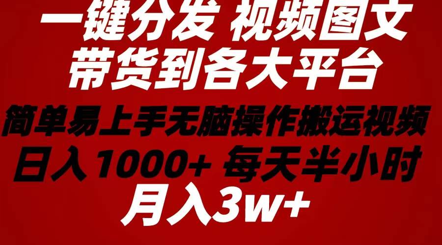 （10667期）2024年 一键分发带货图文视频  简单易上手 轻松赚收益 每天半小时日入1…