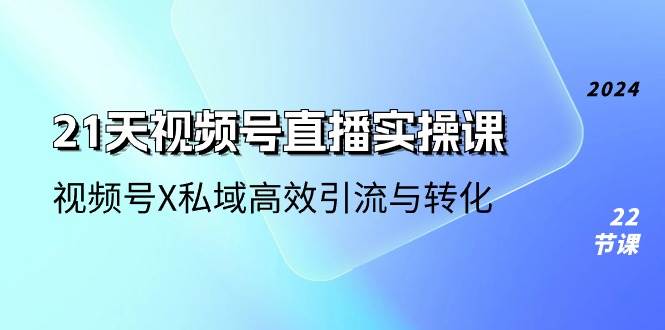 （10966期）21天-视频号直播实操课，视频号X私域高效引流与转化（22节课）