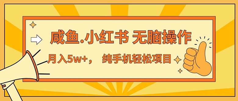 （11524期）2024最赚钱的项目，咸鱼，小红书轻松操作，每单利润500+，轻松月入5万+…