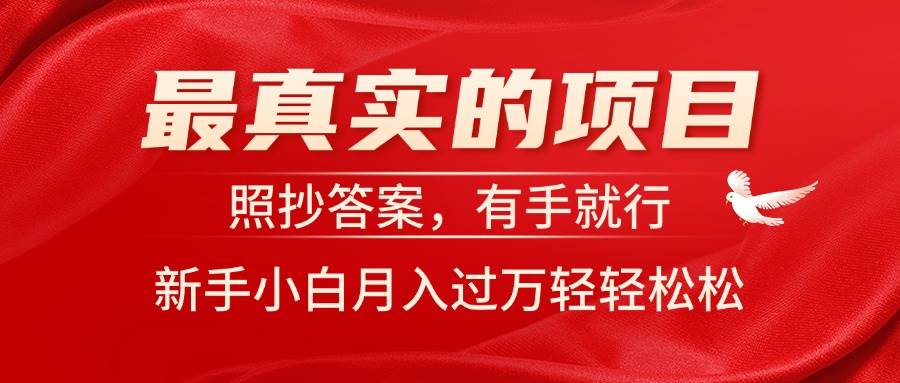 （11362期）最真实的项目，照抄答案，有手就行，新手小白月入过W轻轻松松