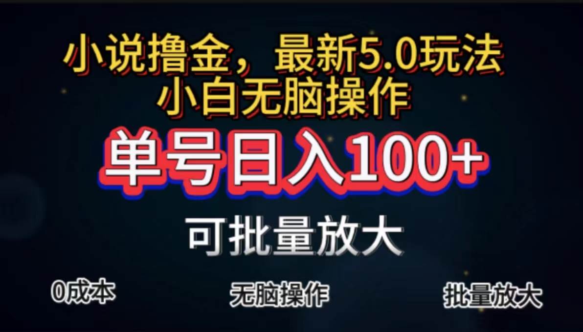 （11651期）全自动小说撸金，单号日入100+小白轻松上手，轻松操作