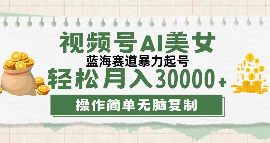 （12087期）视频号AI美/女跳舞，轻松月入30000+，蓝海赛道，流量池巨大，起号猛，无…