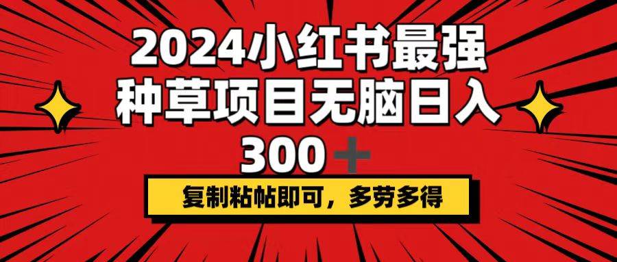 （12336期）2024小红书最强种草项目，轻松日入300+，复制粘帖即可，多劳多得