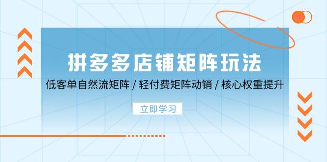 （12720期）拼多多店铺矩阵玩法：低客单自然流矩阵 / 轻付费矩阵 动销 / 核心权重提升